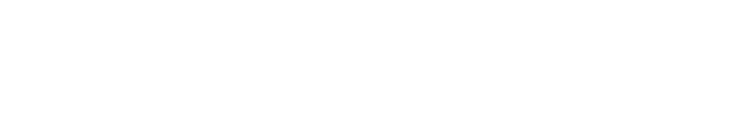 VélezReyes+
