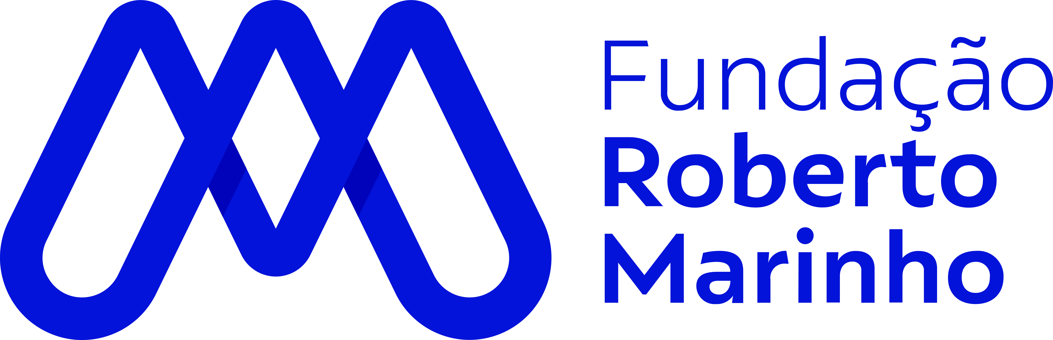Fundação Roberto Marinho